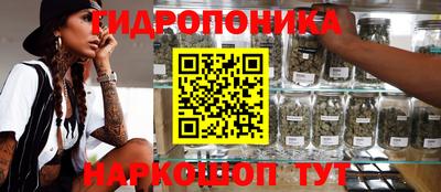 шишки Гусев