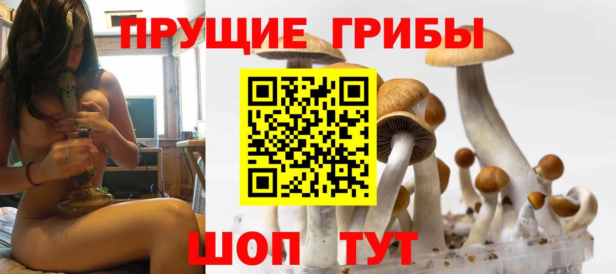Можга  Псилоцибиновые грибы Magic Shrooms  Вход с VPN 